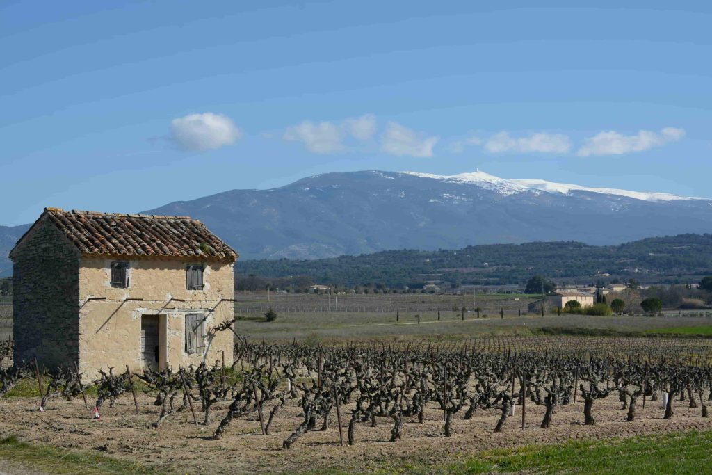 La santé au coeur de notre territoire