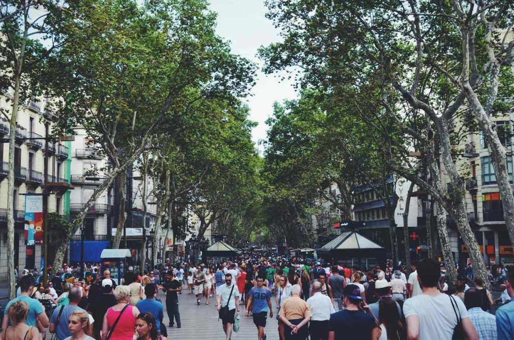 Plan local de santé publique
