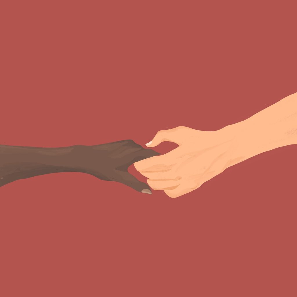 La Maison des Aidants du Vaucluse