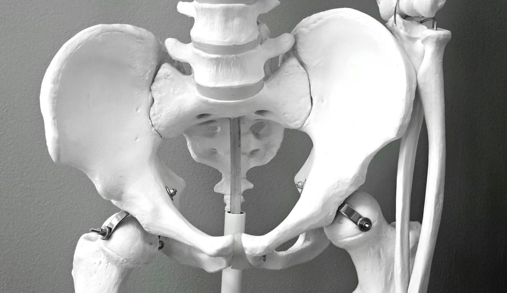 Soirée chirurgie orthopédique : L’équipe ALO est de retour !